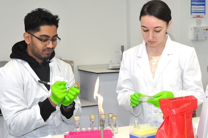 Students undertaking lab work