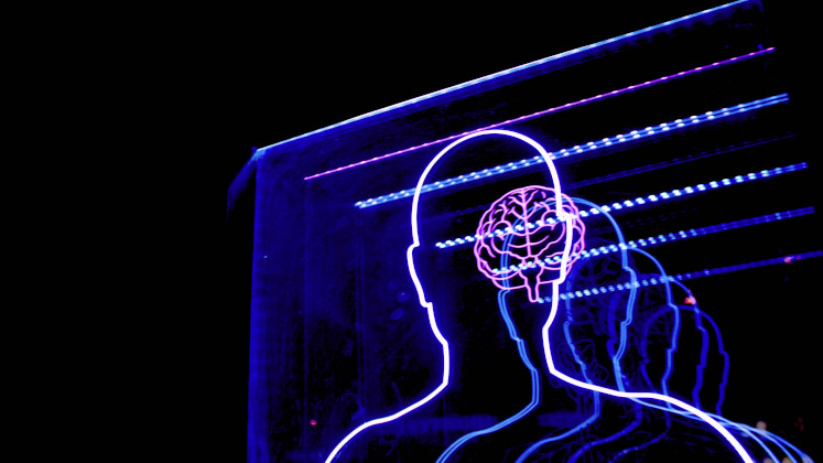 Neon lights illuminating a head and brain