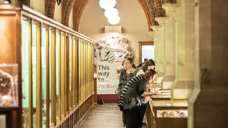 Students in Natural History Museum
