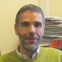 Professor Fabio Cuzzolin