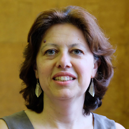 Professor Aylin Orbasli
