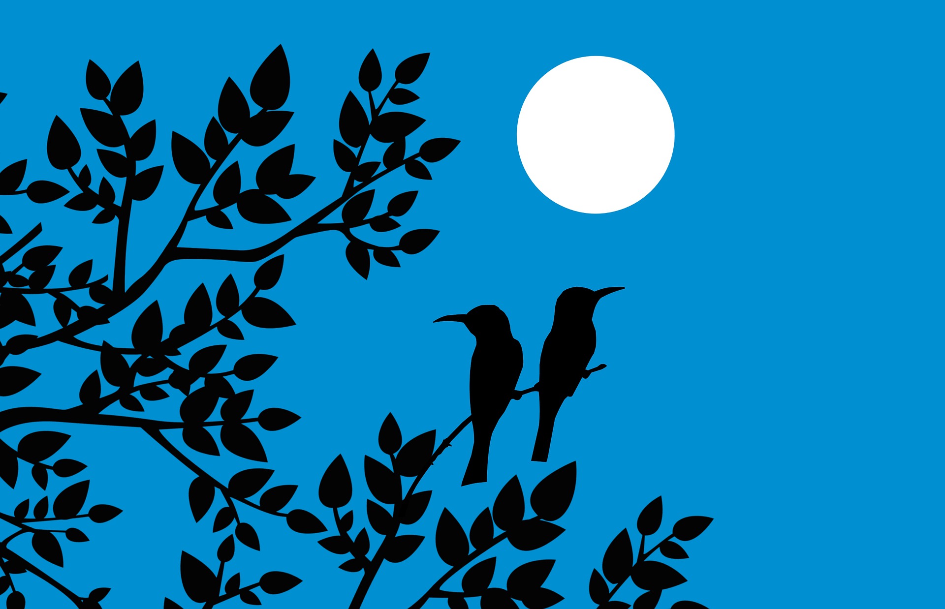 Two birds sit in a tree branch under a full moon