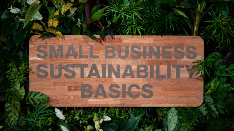 The Journey to Sustainability: Small Business and Net Zero