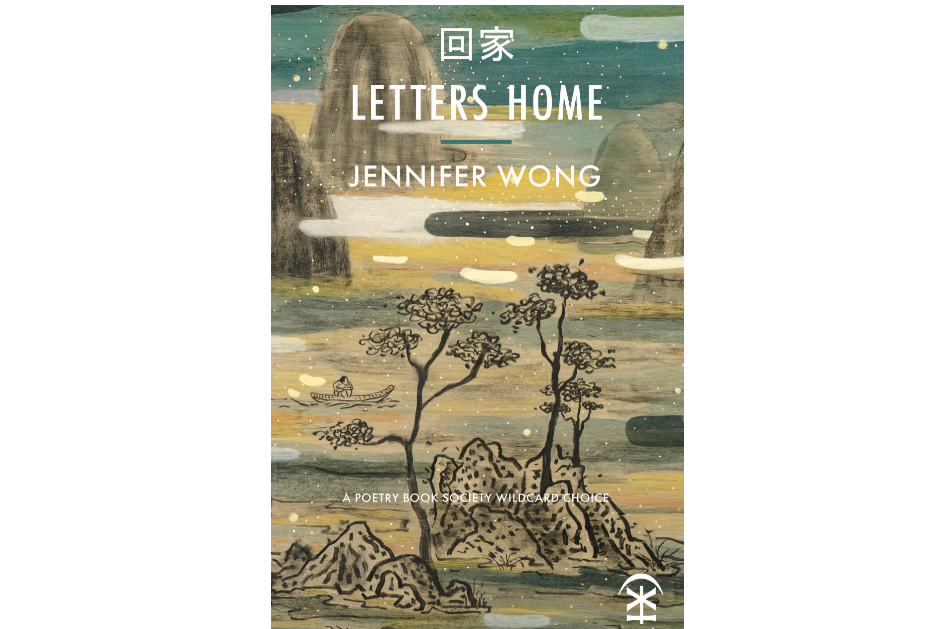 回家 Letters Home book cover
