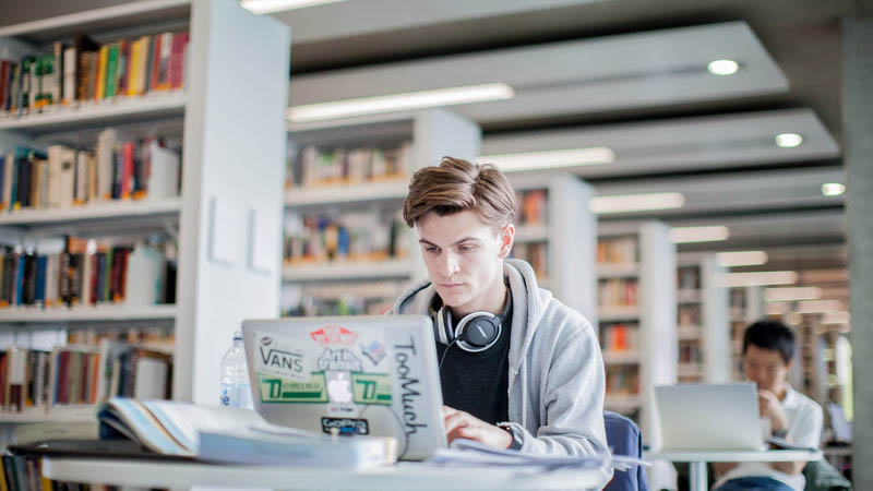 Student working in the Library