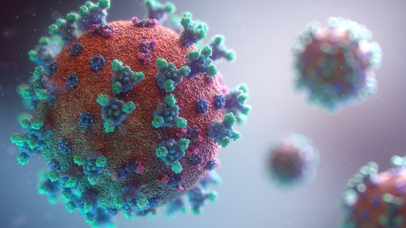 image of corona virus