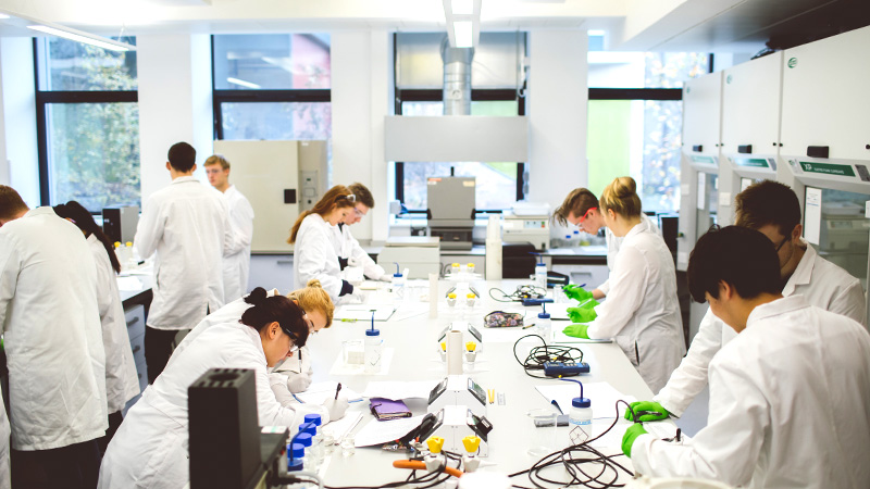 Students working in a lab