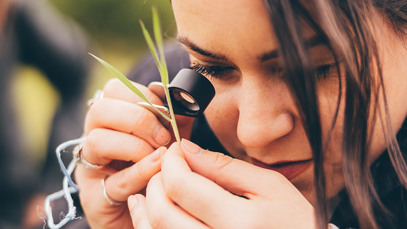 student-in-the-field-examining-plant-features-using-a-hand-lens