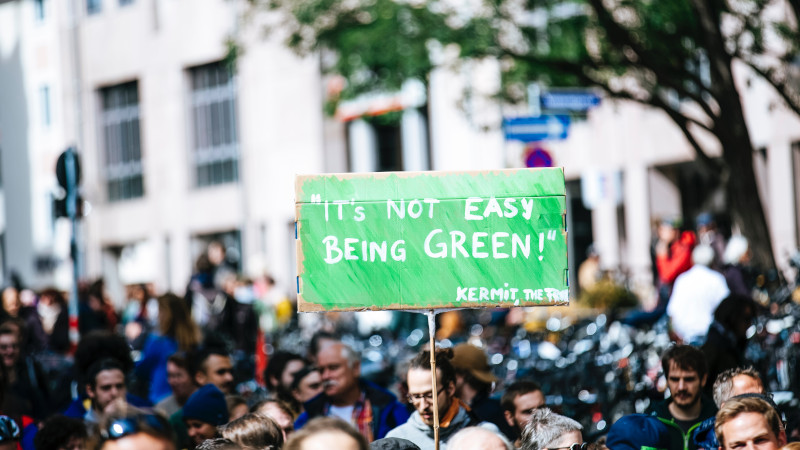 'It's not easy being green' poster at political protest