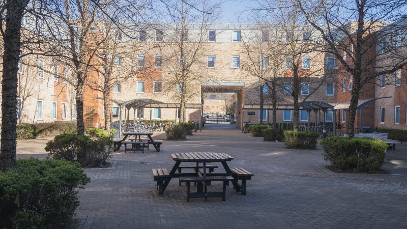 Outdoor courtyard with trees, bushes and picnic benches.