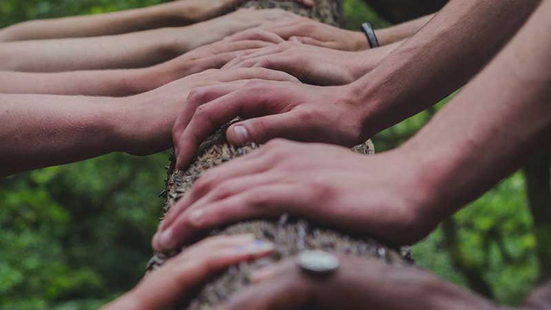 Multiple hands holding a tree trunk