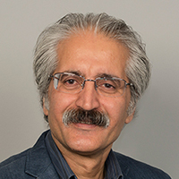 Professor Ramin  Keivani