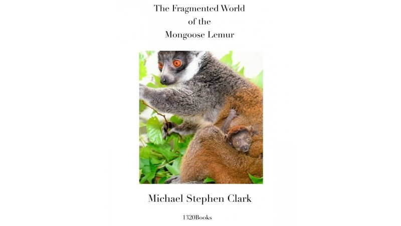 The Fragmented World of the Mongoose Lemur book cover