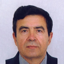 Professor Michael Todinov