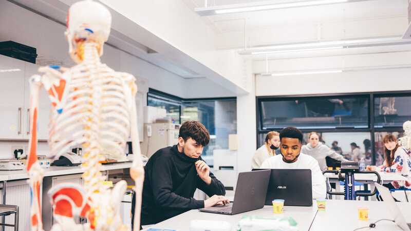 Students at work on laptops with an anatomical skeleton in the foreground