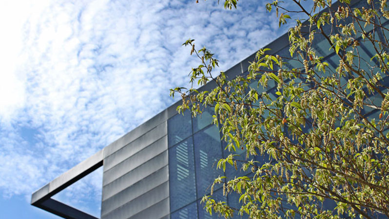 A picture of one of Oxford Brookes University's buildings showing the sky and a tree