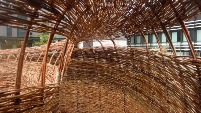 The interior of the WillowSpace structure