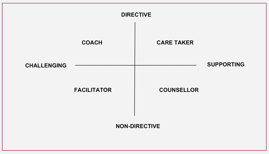 Some ways in which mentors give support: Directive, Coach, Care Taker, Challenging, Supporting, Facilitator, Counsellor, Non-directive