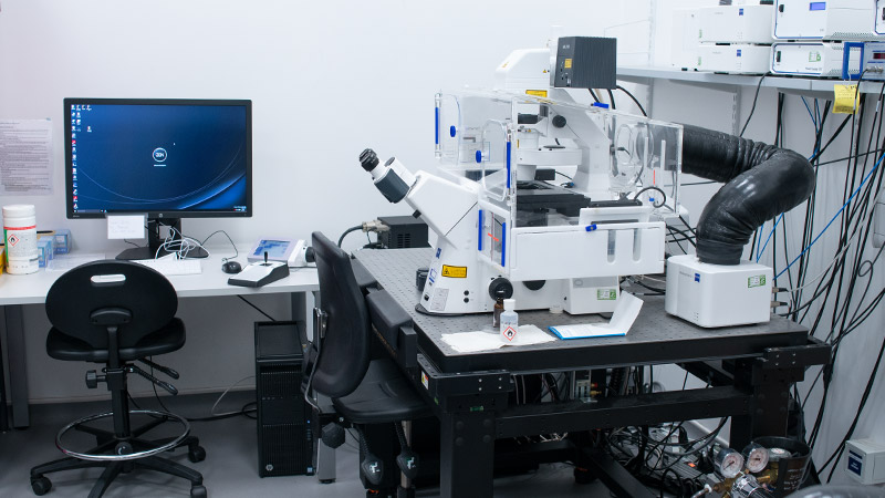 Zeiss LSM880 confocal with Airyscan