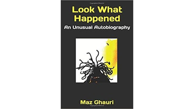Look what happened book cover