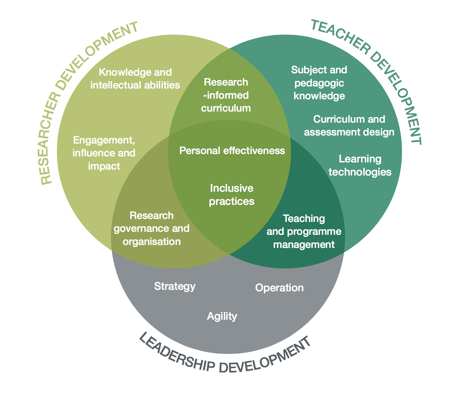 Visual diagram outlining what the academic develoment framework is: the 3 areas cover researcher development, teacher development, leadership development