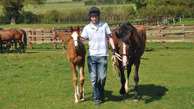 Oxford Brookes University Equine Science, BSc Hons degree course student with horses