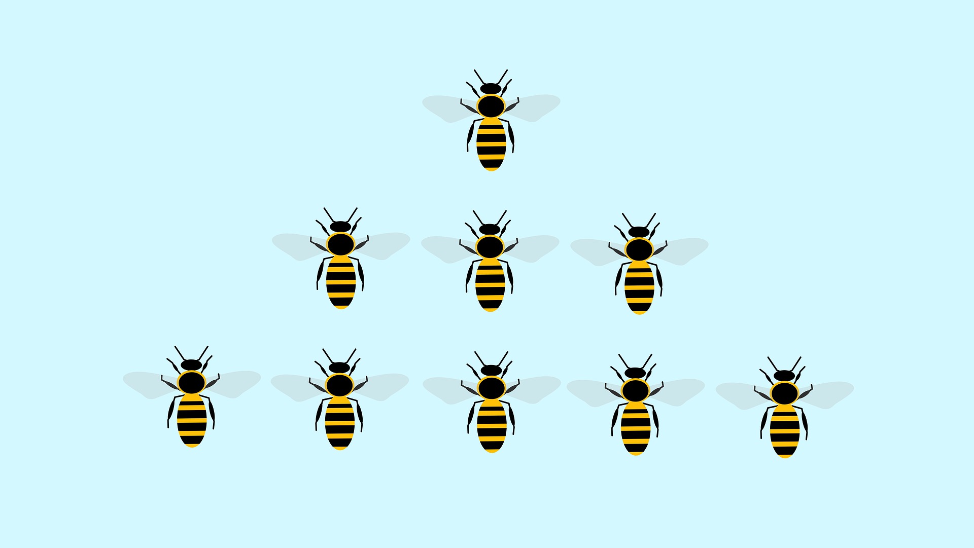 Nine bees arranged in a triangle formation