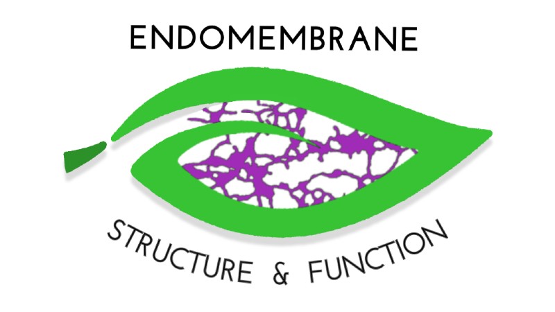 Endomembrane Structure and Function Group logo