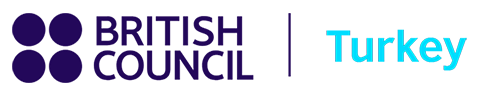 British Council Connect4Innovation:UK-Turkey Higher Education Institutional Partnerships Fund