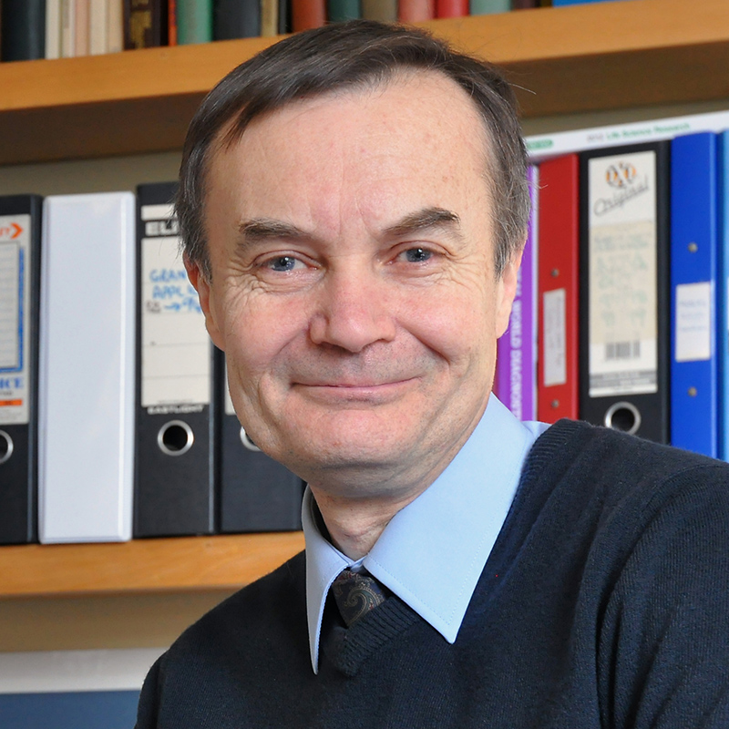 Professor David Evans BSc, PhD (Wales)