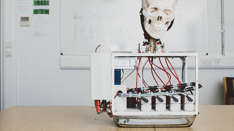 AI project skeleton head