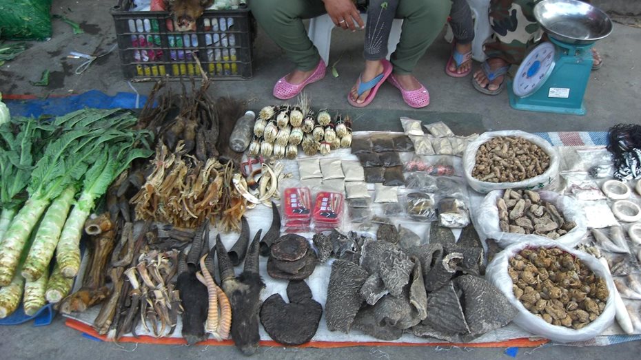 Wildlife for sale, Yunnan Province, China.