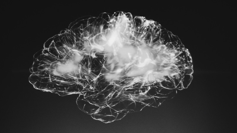 Black and white image of brain