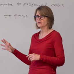 Professor Sue Brownill