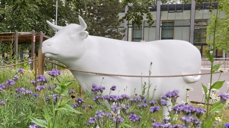 A sculpture of an ox