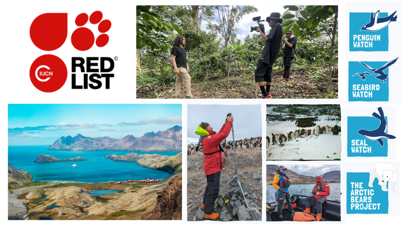 A collage detailing the global conservation research conducted by the centre. It features field teams filming in tropical forests and deploying camera technology in polar regions.