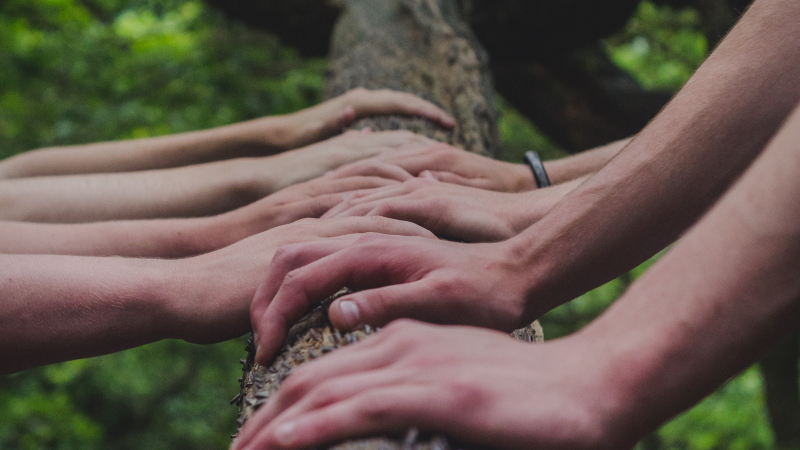 hands touching tree
